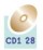 CD1 28